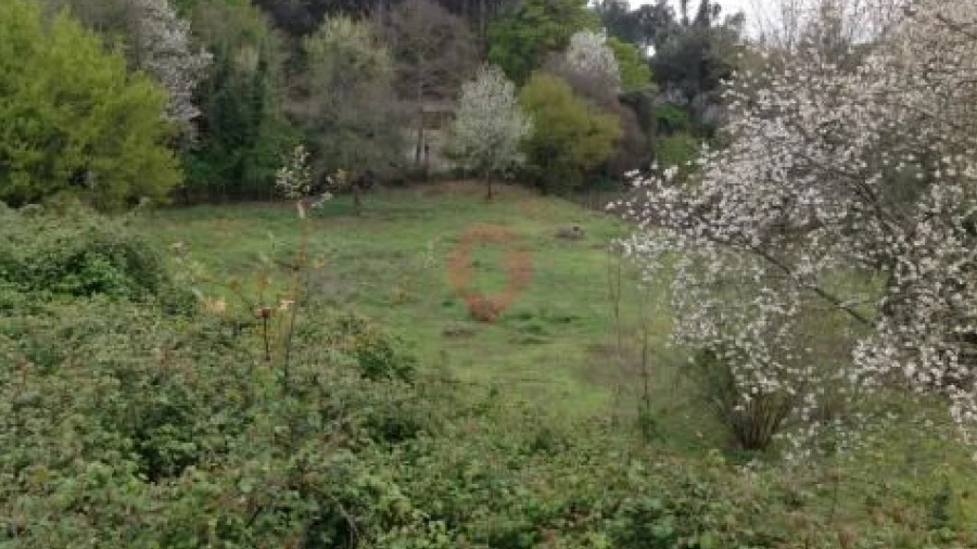 Terreno para Venda em Adaufe