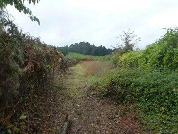 Terreno para Venda em Monção e Troviscoso