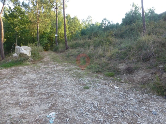 Terreno para Venda em Pias Foto 3