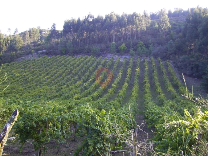 Terreno para Venda em Lara Foto 1