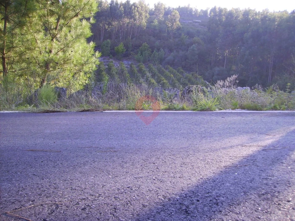 Terreno para Venda em Lara Foto 2