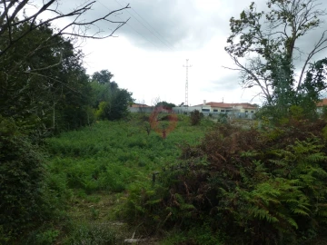 Terreno para Venda em Barbeita