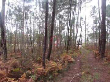 Terreno para Venda em Troporiz e Lapela