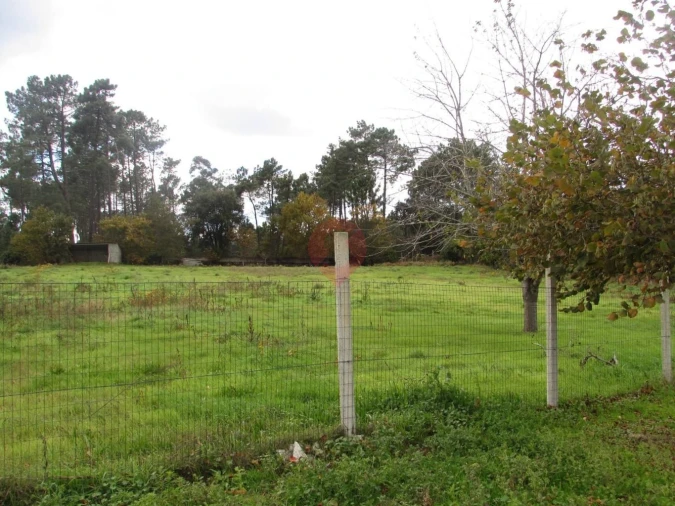 Terreno para Venda em Troporiz e Lapela Foto 11