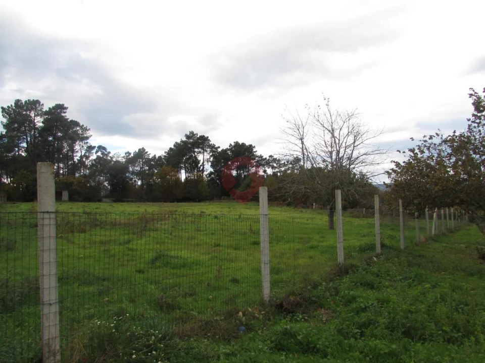 Terreno para Venda em Troporiz e Lapela Foto 12