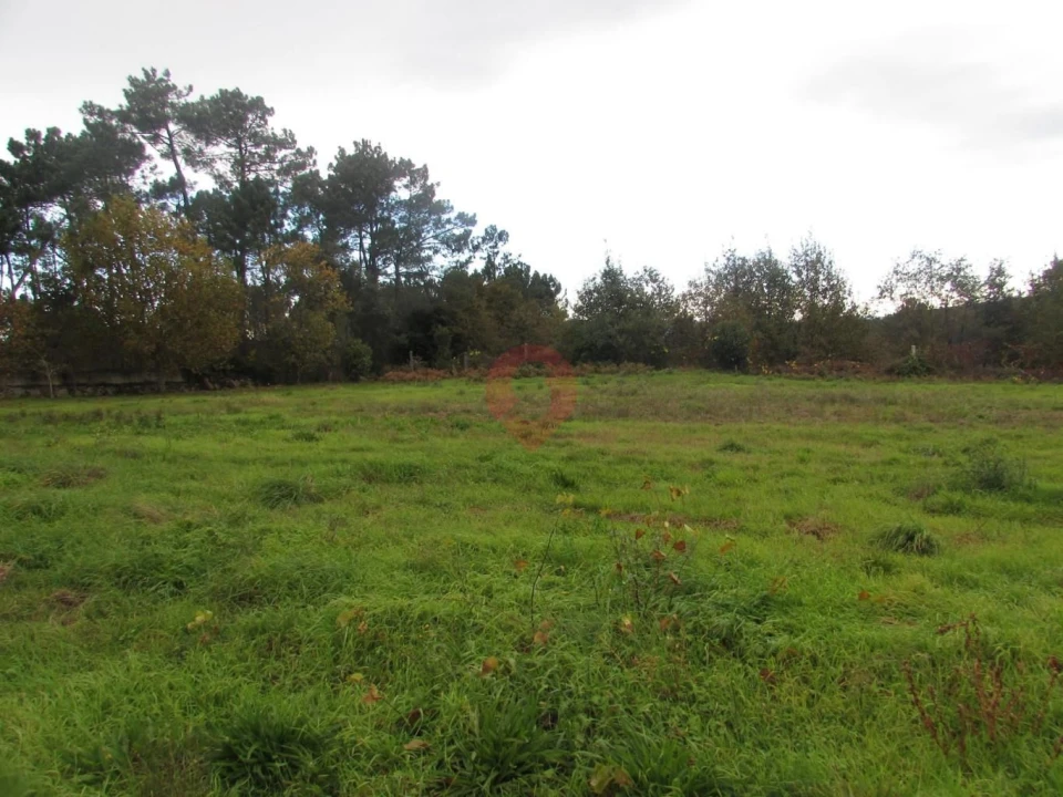 Terreno para Venda em Troporiz e Lapela Foto 10
