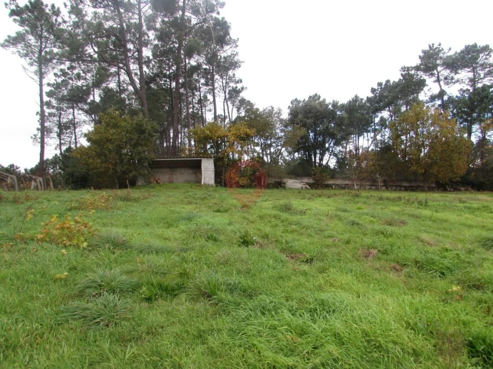 Terreno para Venda em Troporiz e Lapela Foto 9