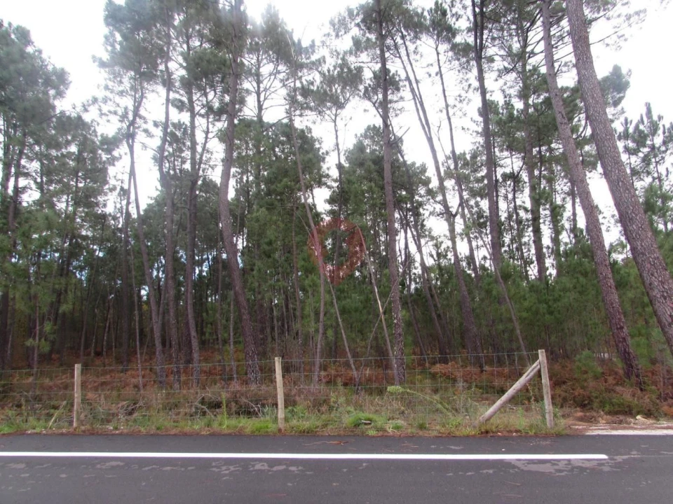Terreno para Venda em Troporiz e Lapela Foto 7