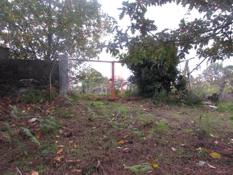 Terreno para Venda em Troporiz e Lapela Foto 4