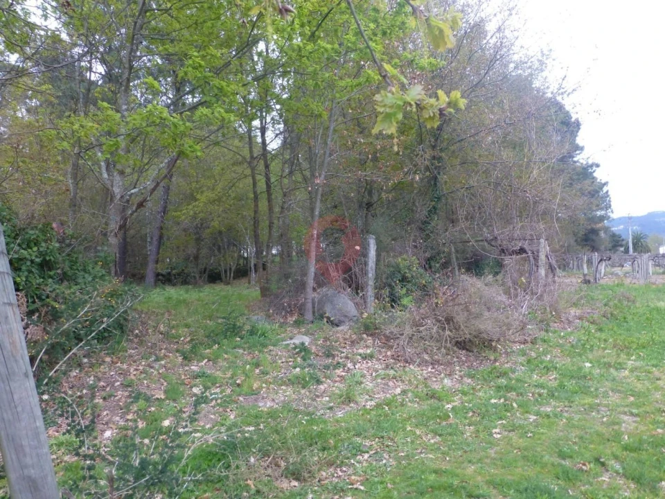Terreno para Venda em Prado e Remoães Foto 2