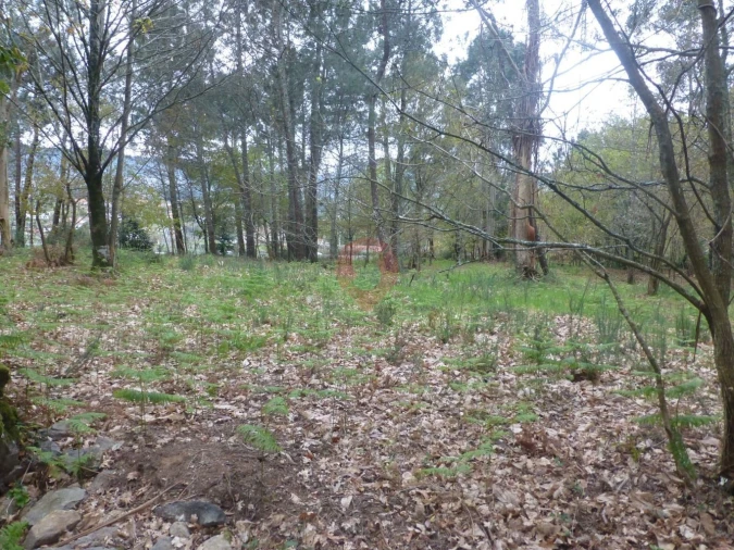 Terreno para Venda em Prado e Remoães