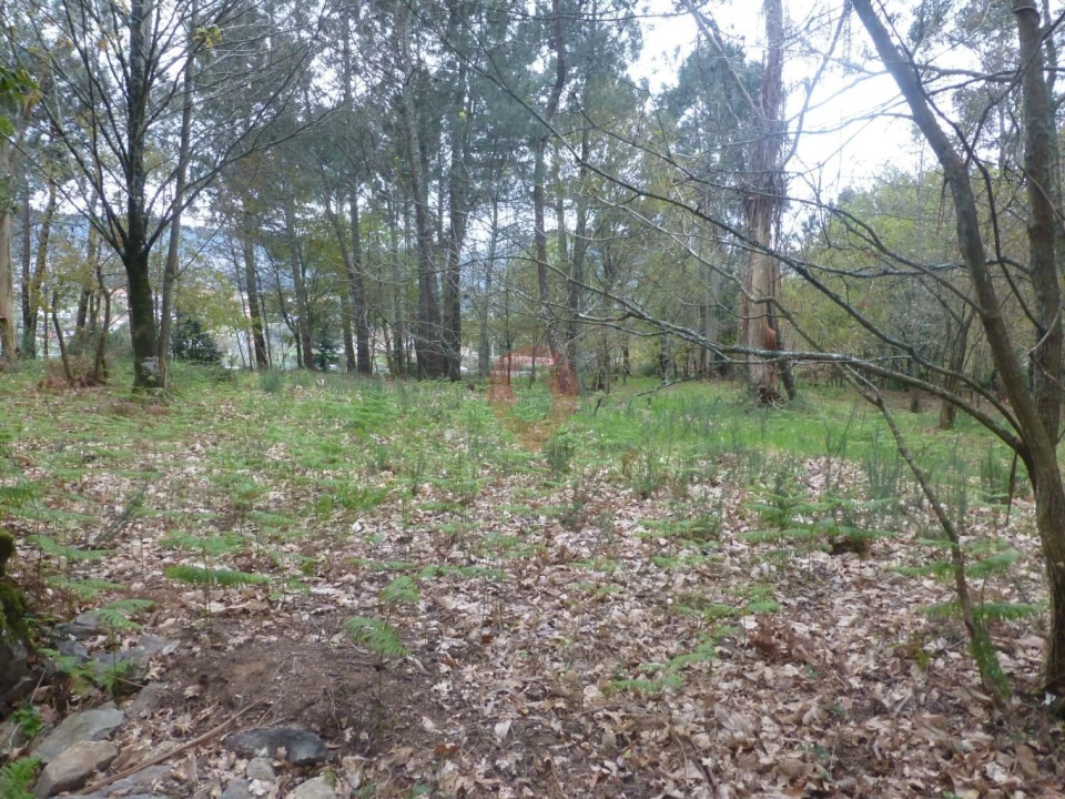 Terreno para Venda em Prado e Remoães Foto 1