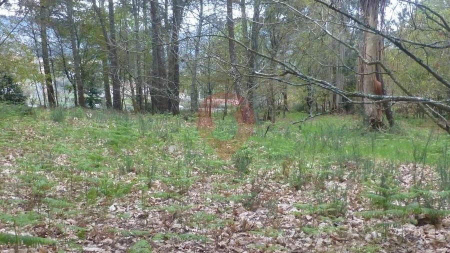 Terreno para Venda em Prado e Remoães