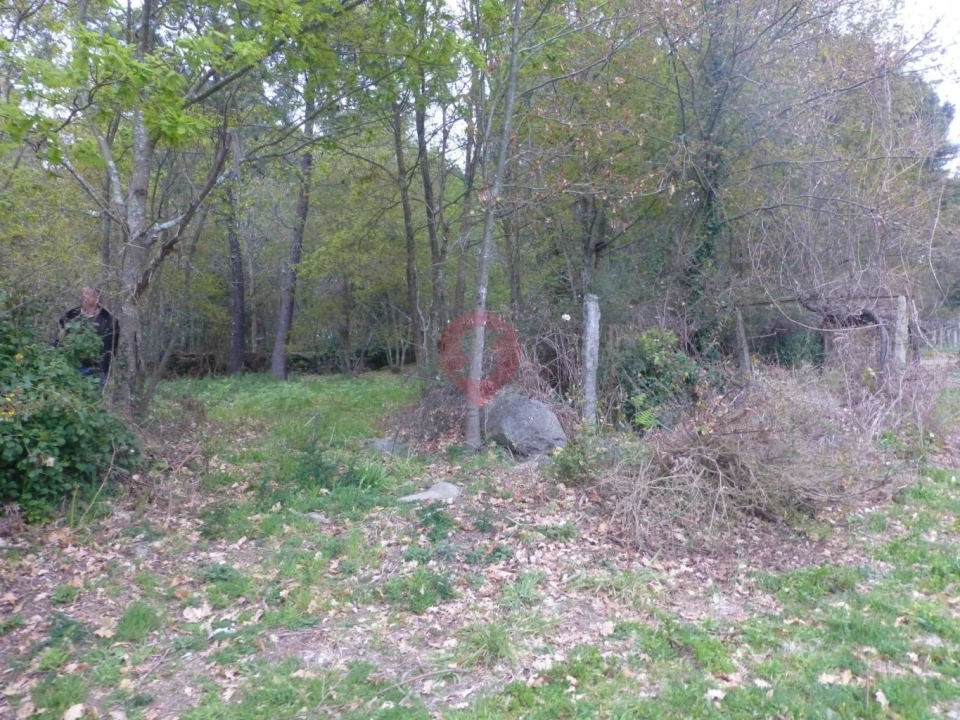 Terreno para Venda em Prado e Remoães Foto 3