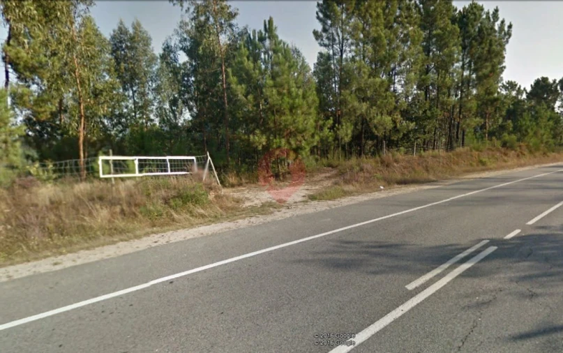 Terreno para Venda em Bela