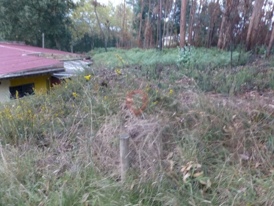 Terreno para Venda em Bela Foto 4