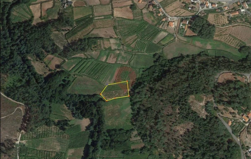 Terreno para Venda em Ceivães e Badim Foto 2