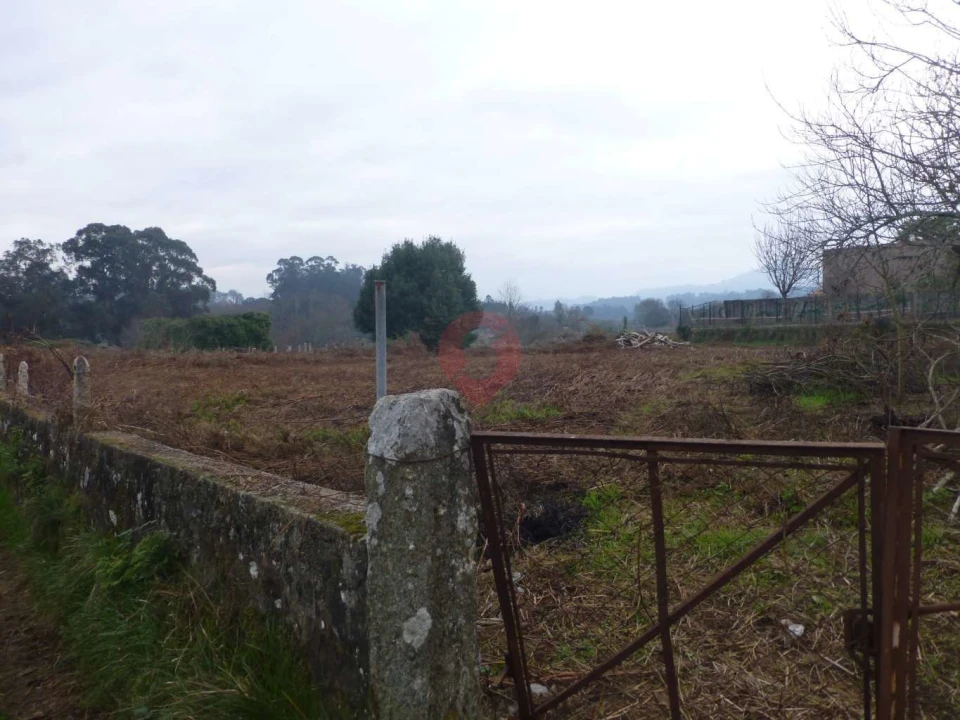Terreno para Venda em Bela Foto 3