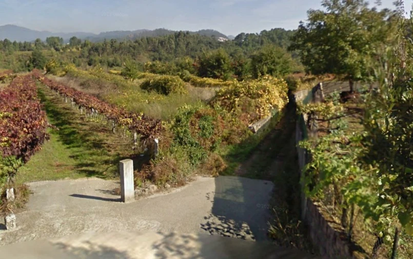 Terreno para Venda em Bela