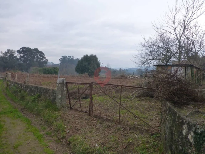 Terreno para Venda em Bela Foto 2