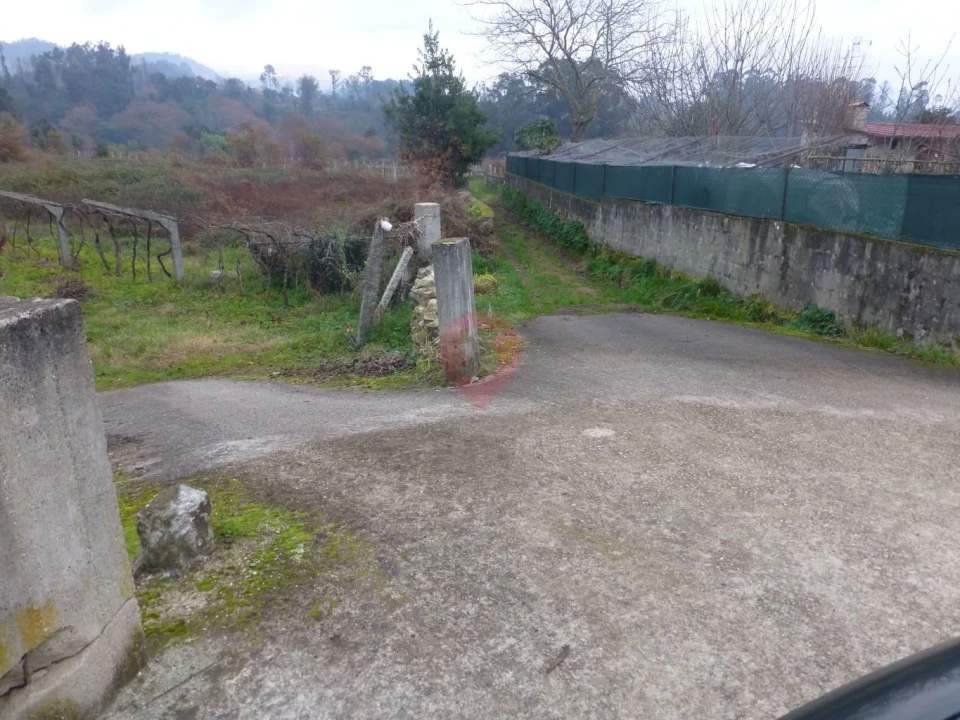 Terreno para Venda em Bela Foto 4