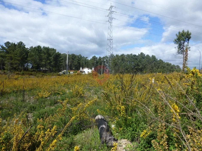 Terreno para Venda em Monção e Troviscoso Foto 1