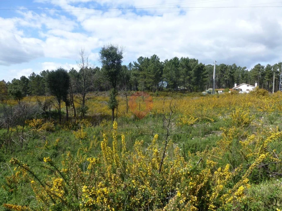 Terreno para Venda em Monção e Troviscoso Foto 1