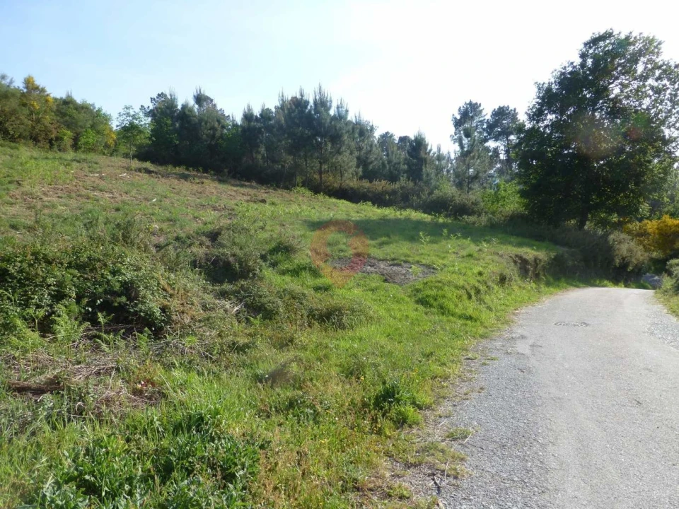 Terreno para Venda em São Paio Foto 3