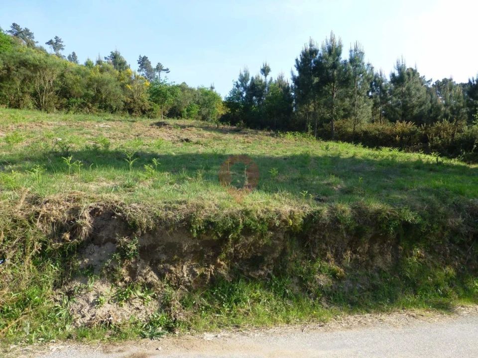 Terreno para Venda em São Paio Foto 4