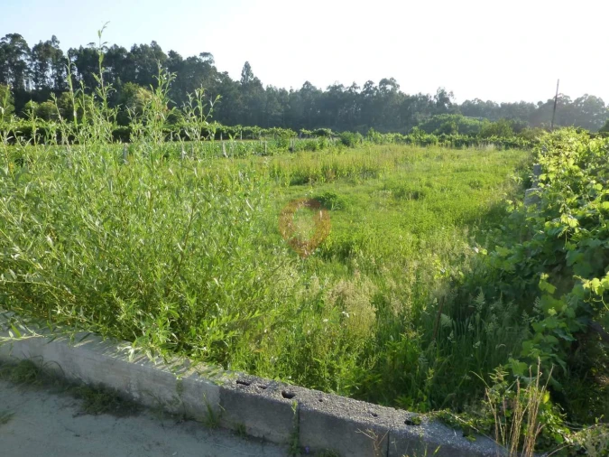 Terreno para Venda em Ganfei Foto 2