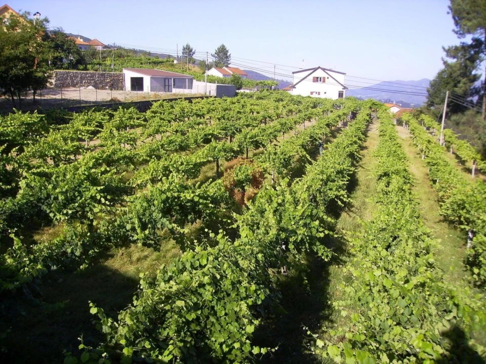 Terreno para Venda em Cristoval Foto 2