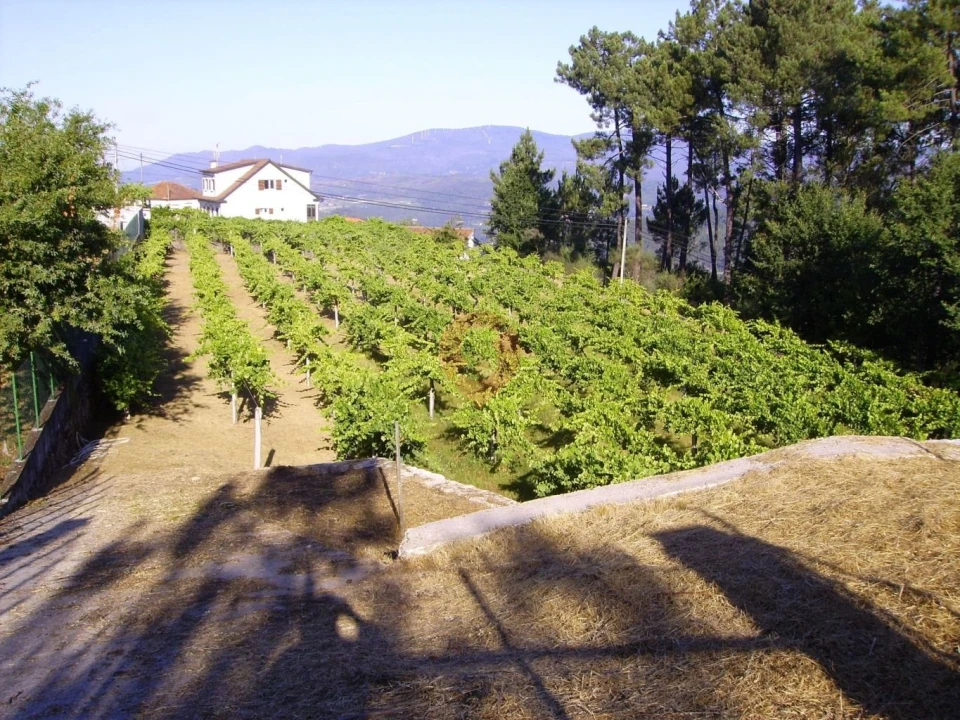 Terreno para Venda em Cristoval Foto 1