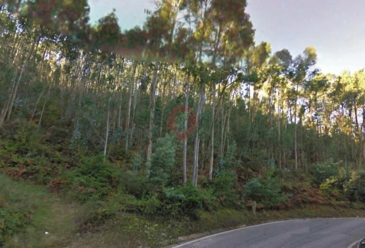 Terreno para Venda em Chaviães e Paços