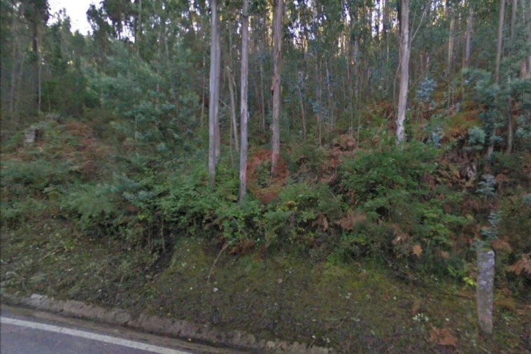 Terreno para Venda em Chaviães e Paços Foto 2