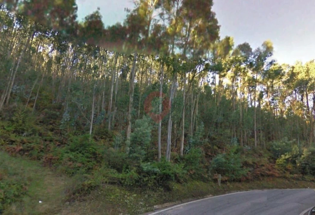 Terreno para Venda em Chaviães e Paços Foto 1