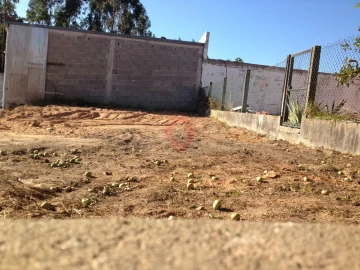 Terreno para Venda em Torre e Vila Mou