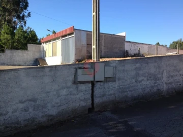 Terreno para Venda em Torre e Vila Mou