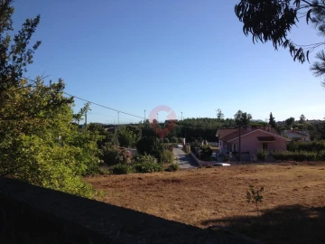 Terreno para Venda em Torre e Vila Mou