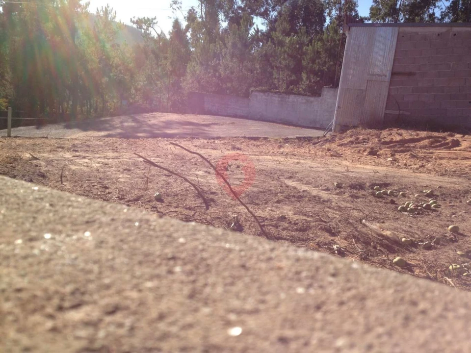 Terreno para Venda em Torre e Vila Mou Foto 10