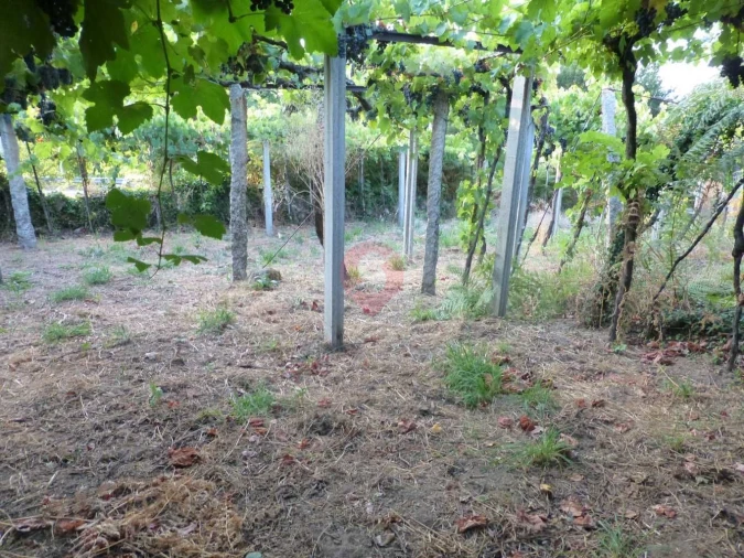 Terreno para Venda em São Paio Foto 5