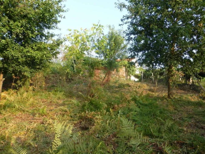 Terreno para Venda em São Paio Foto 3