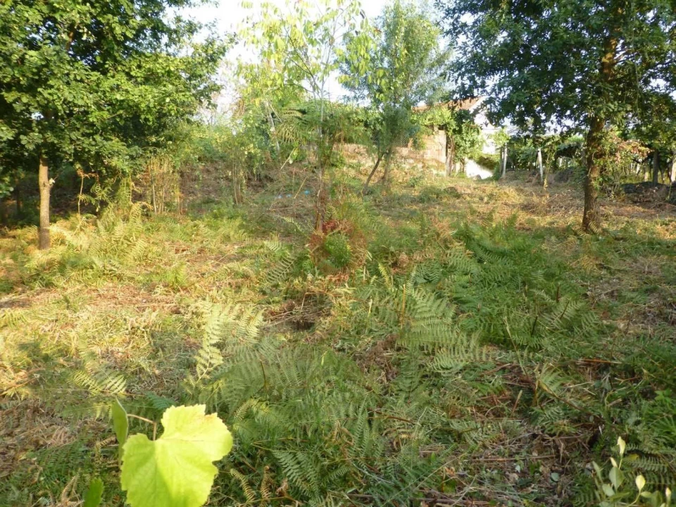 Terreno para Venda em São Paio Foto 1