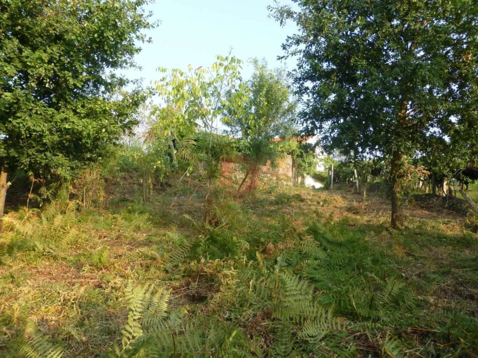 Terreno para Venda em São Paio Foto 3