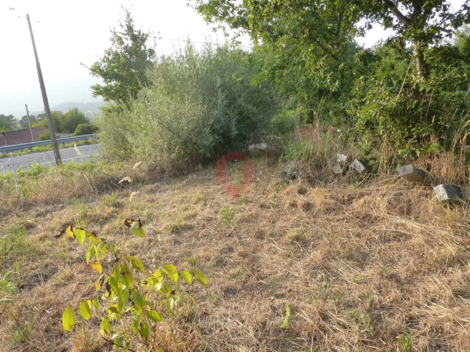 Terreno para Venda em São Paio Foto 6