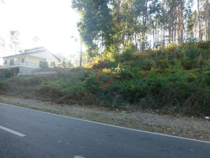 Terreno para Venda em Bela Foto 2