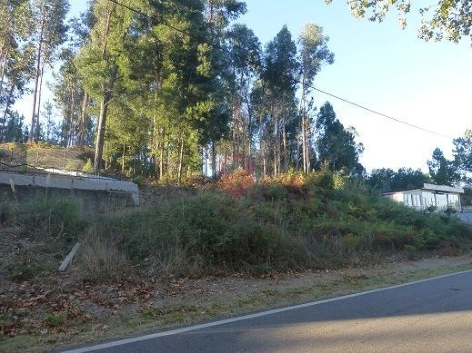 Terreno para Venda em Bela Foto 1