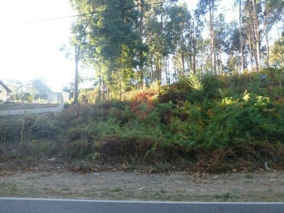 Terreno para Venda em Bela Foto 3