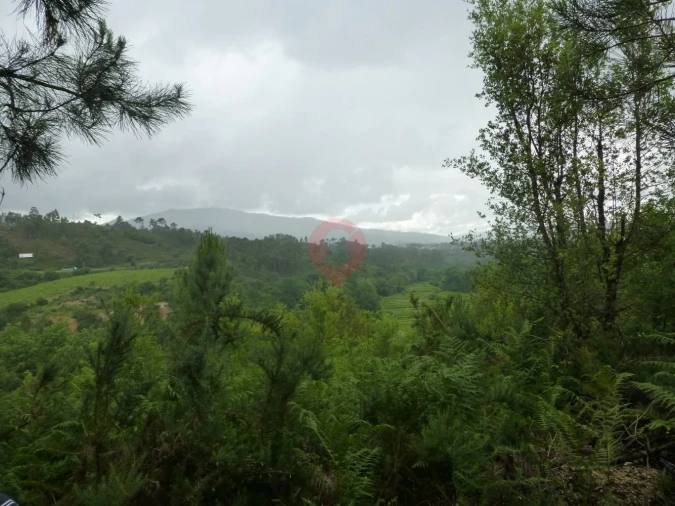 Terreno para Venda em Troporiz e Lapela Foto 5