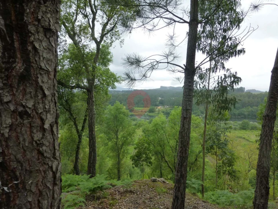 Terreno para Venda em Troporiz e Lapela Foto 3