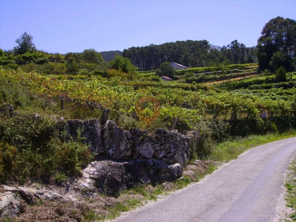 Terreno para Venda em Riba de Mouro Foto 4